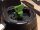 Teigblume Thermomix